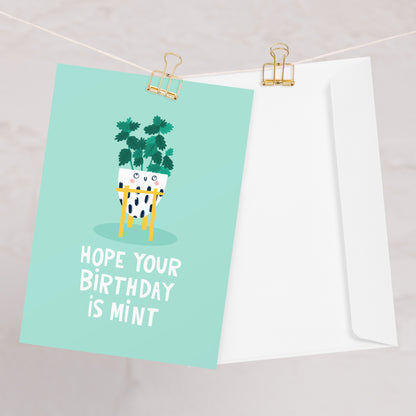 Cute Plant Birthday Card - Hope Your Birthday Is Mint