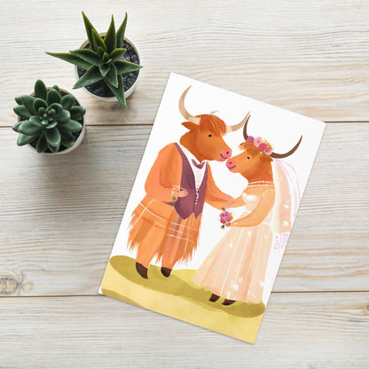 Married Highland Cows